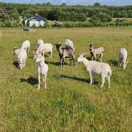 Jaskolkowo Glamping Objazda