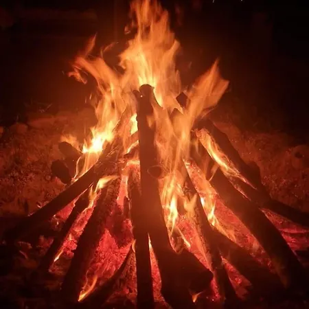 Jaskolkowo Glamping * Objazda